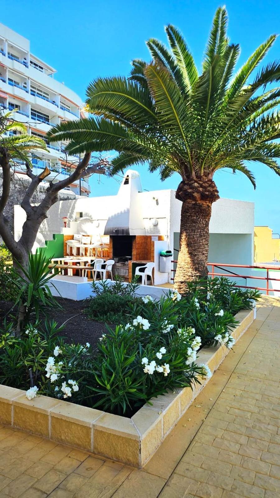Апартаменты Playa De La Arena Puerto de Santiago  Ngoại thất bức ảnh